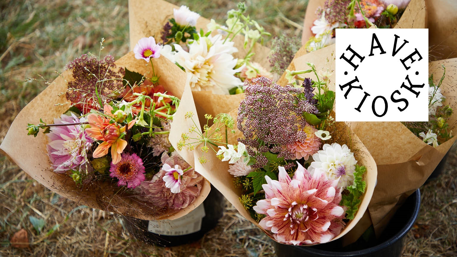 Wardian sag terrorisme Omsorg Brede Havekiosk | Økologiske blomster og buketter | nemlig.com