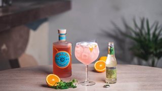 Malfy gin & Tonic