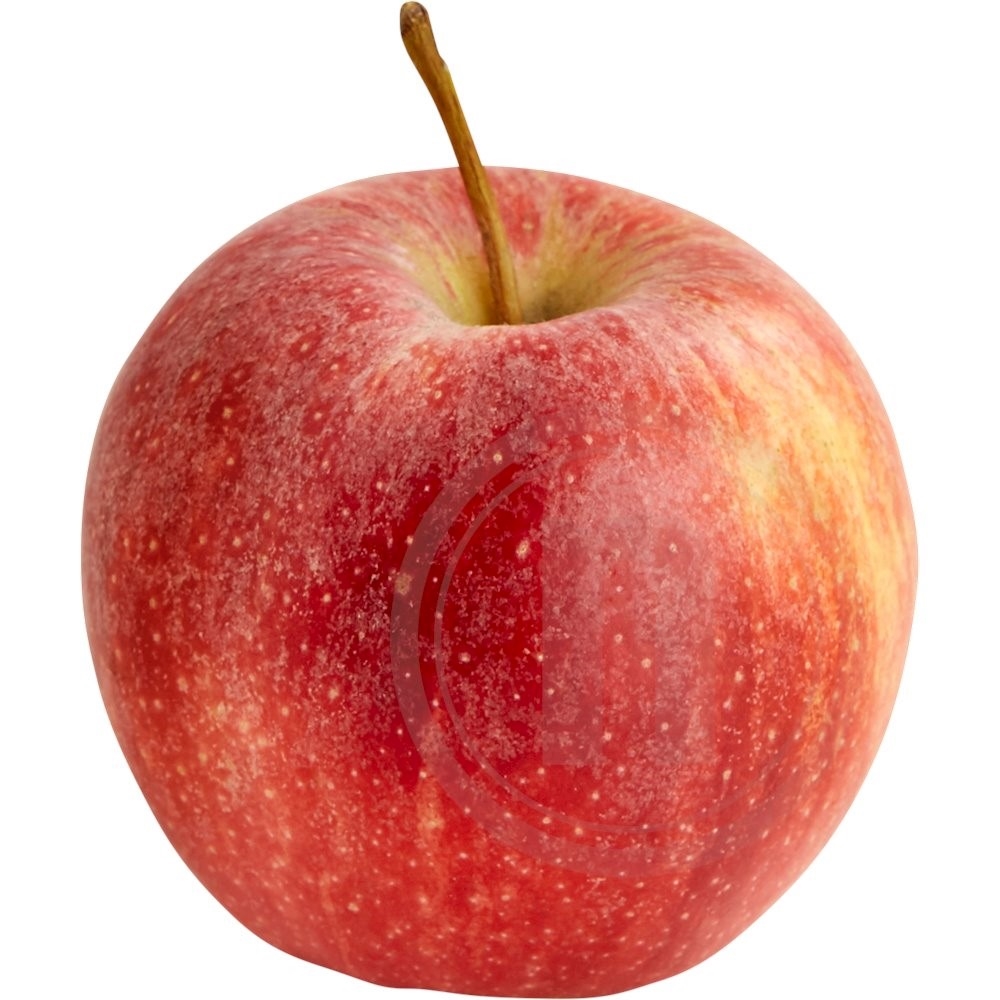 Æble Royal Gala øko.