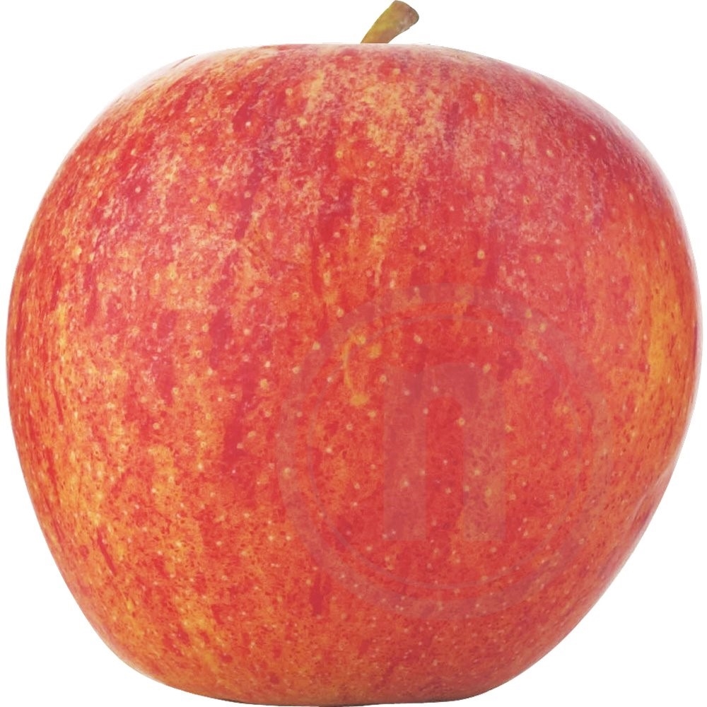 Æble Royal Gala