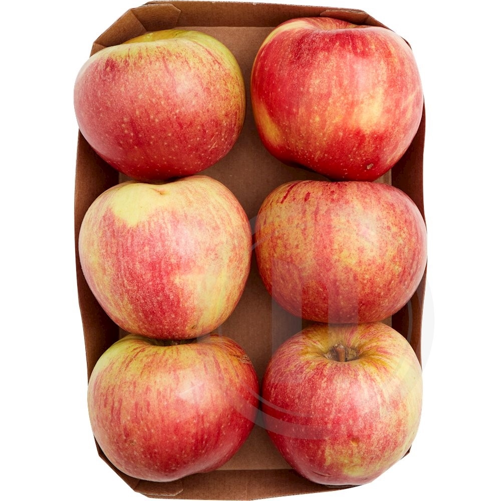 Royal Gala Æbler øko. .