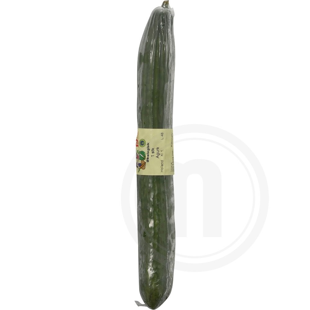 Agurk Økologisk
