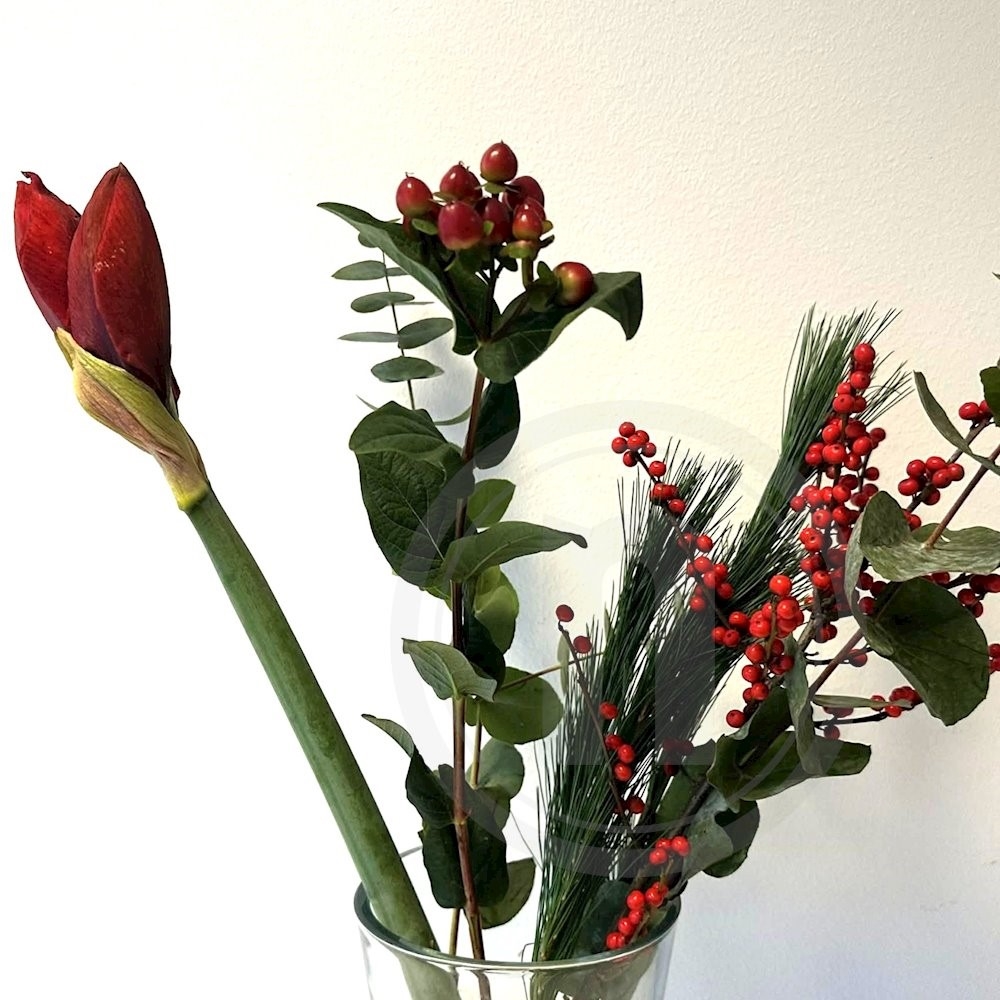 Amaryllis Buket ca. 60 cm