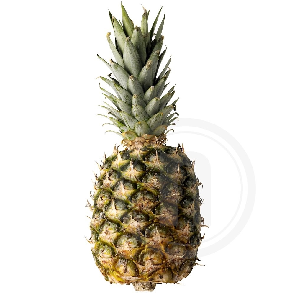 Ananas lille økologisk ca.