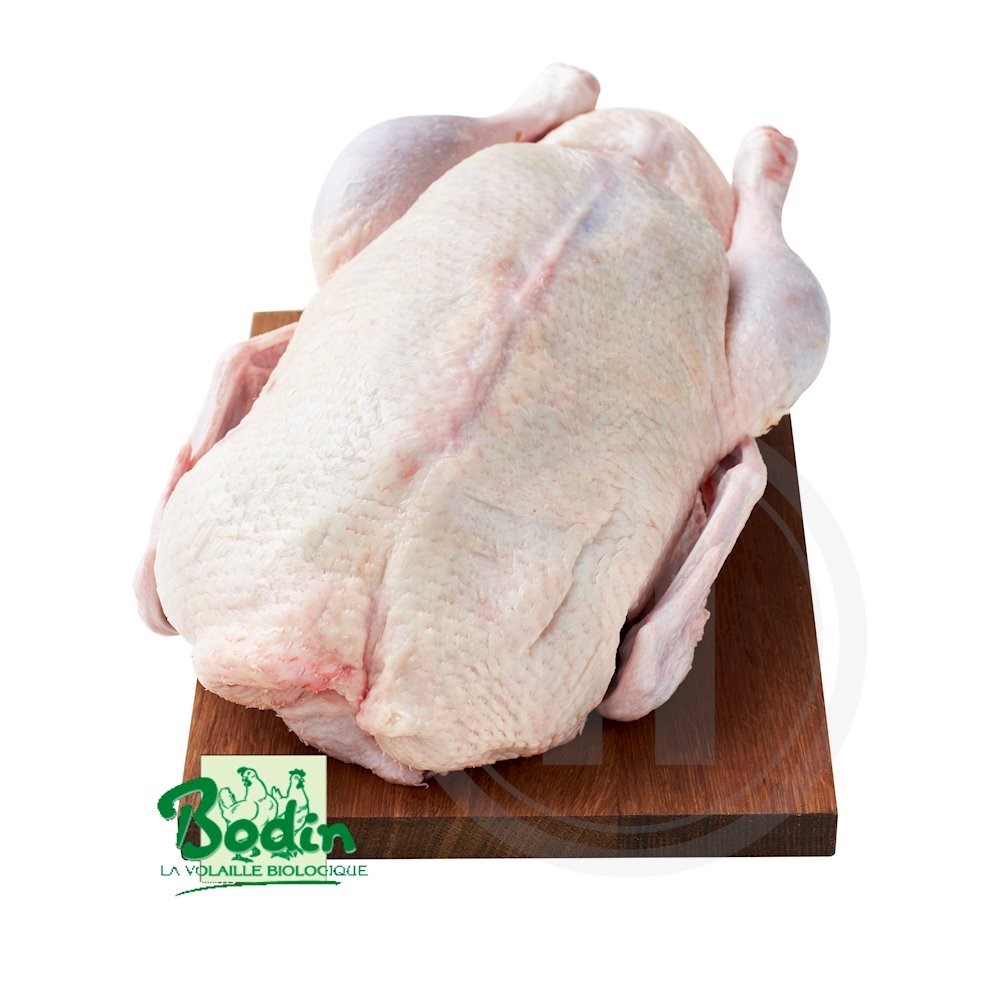 And berberie øko. hel