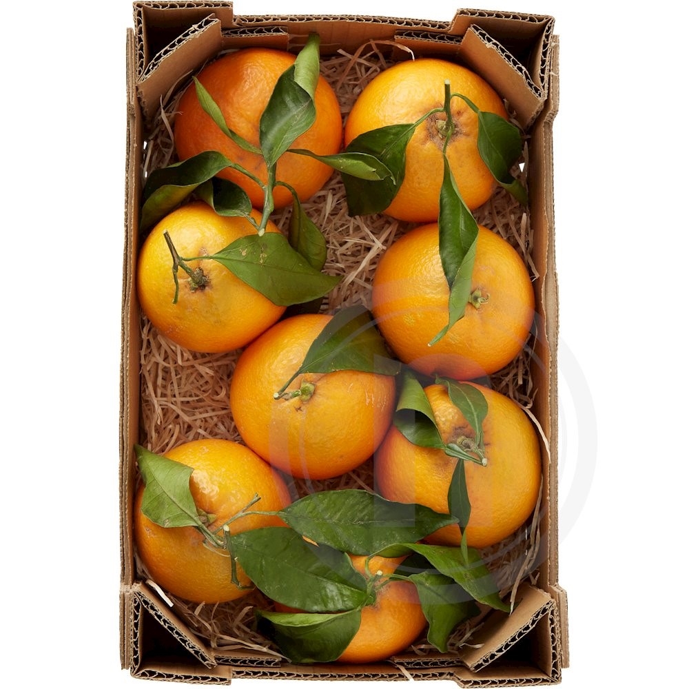 Appelsiner med blade øko.