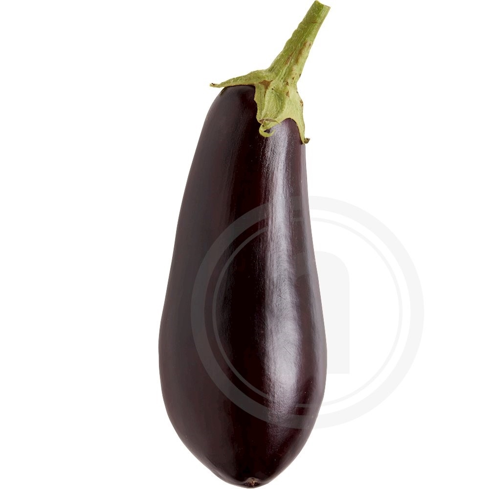 Aubergine