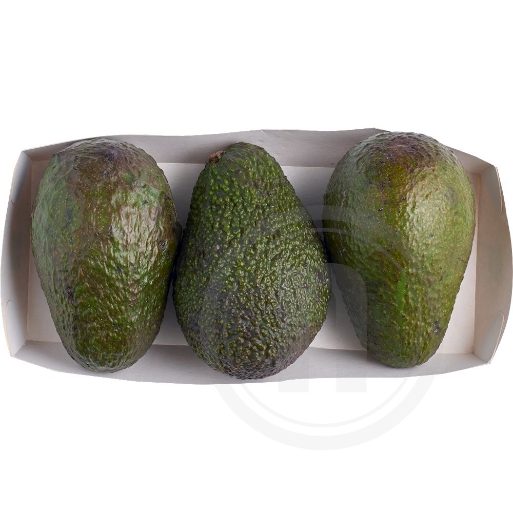 Avocado formodnet øko.