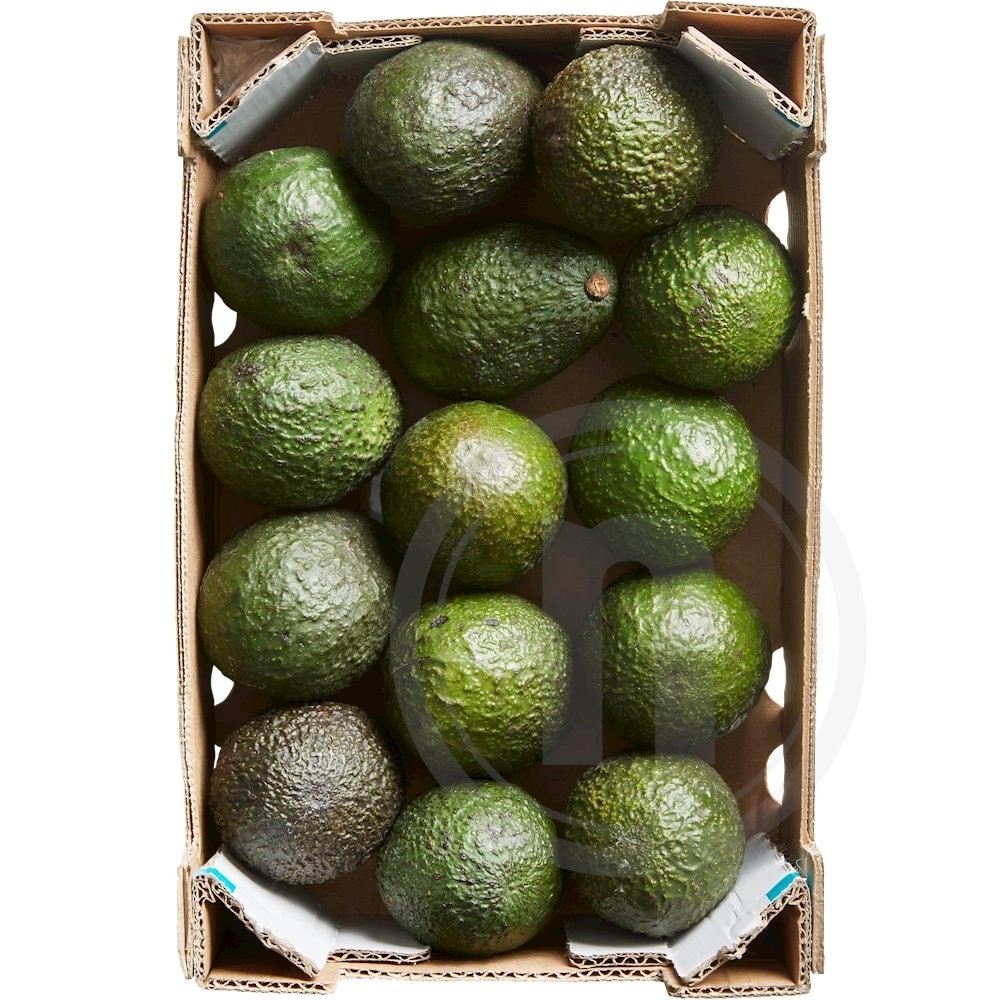 Avocado Økologisk Spanien 12-.