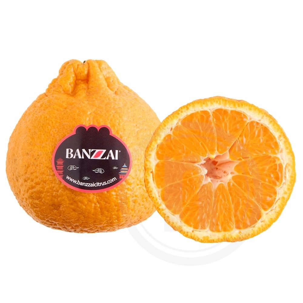 Banzzai Mandarin Kæmpe