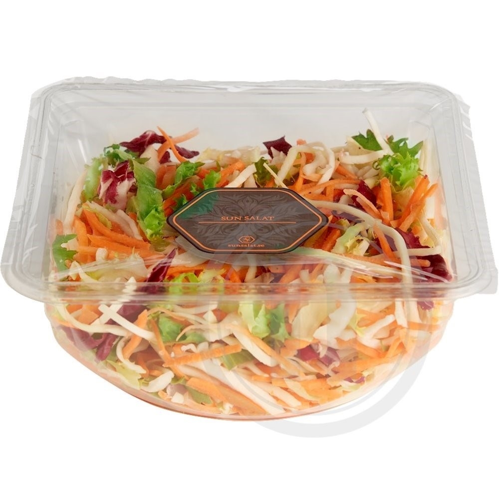 Sun Salat Basissalat