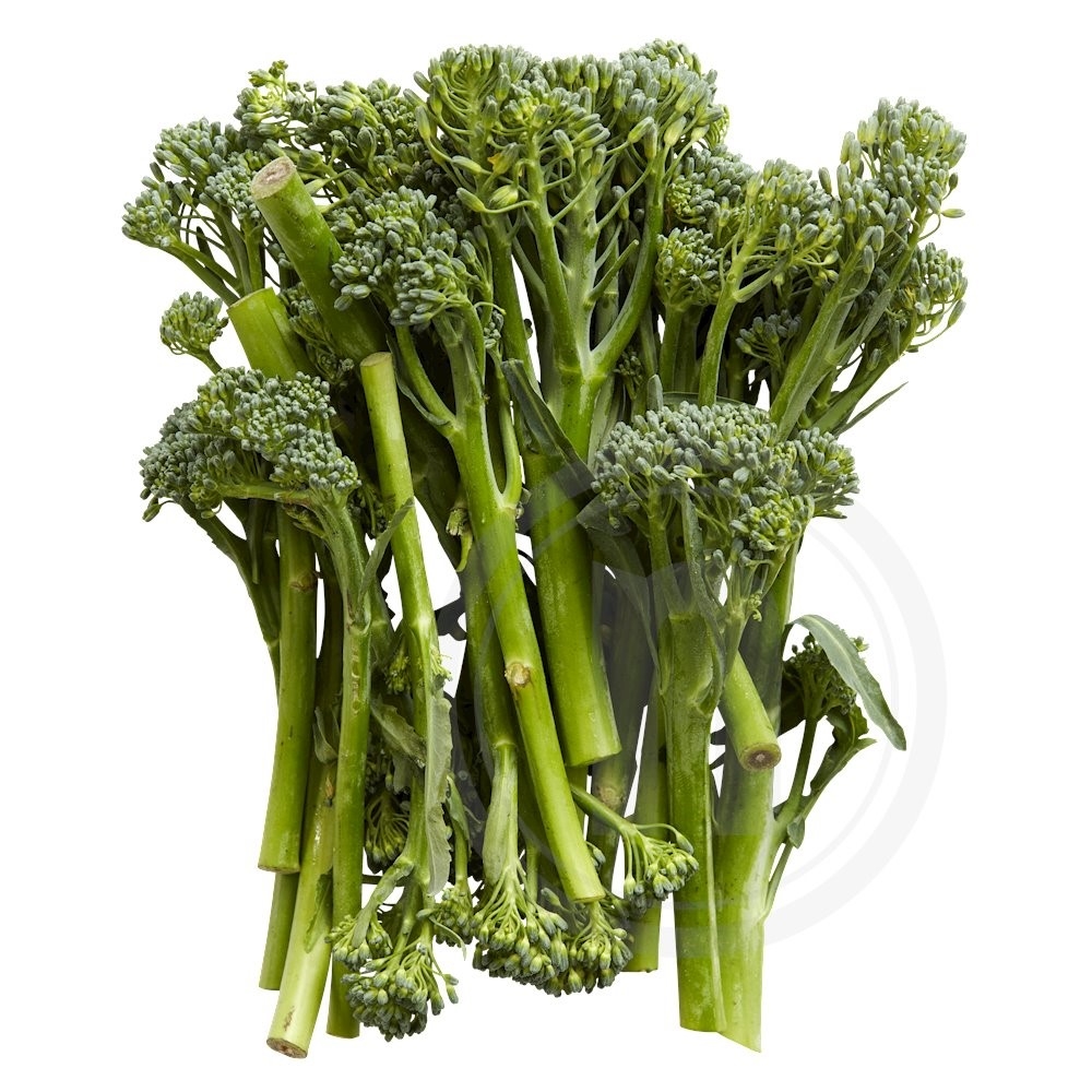 Bimi Broccoli økologisk