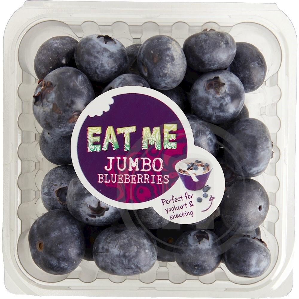 Blåbær Jumbo