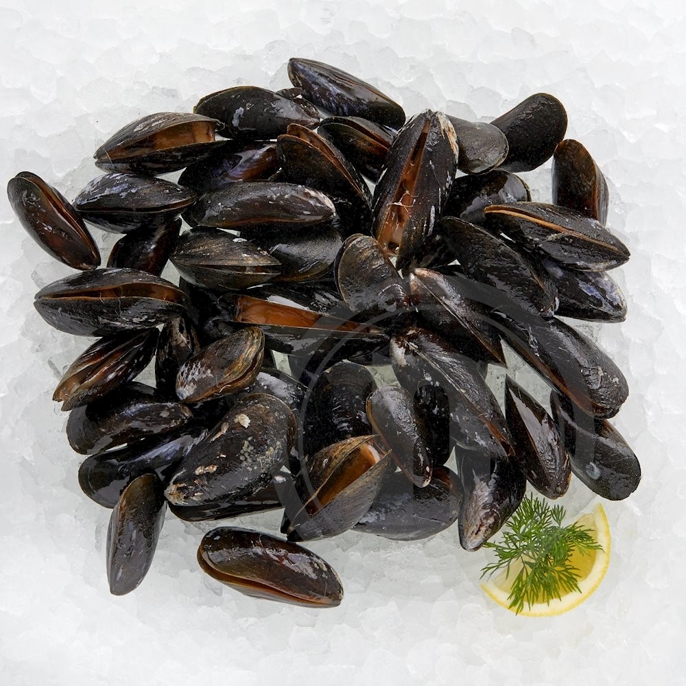 Vilsund Blue Blåmuslinger