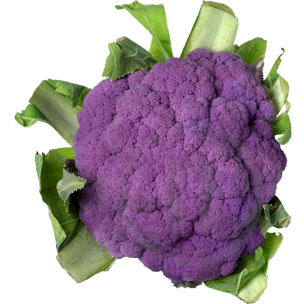 Blomkål lilla