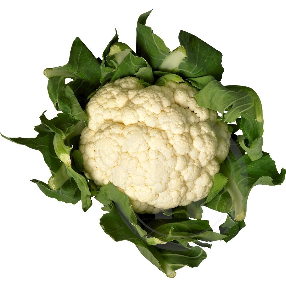 Blomkål Økologisk