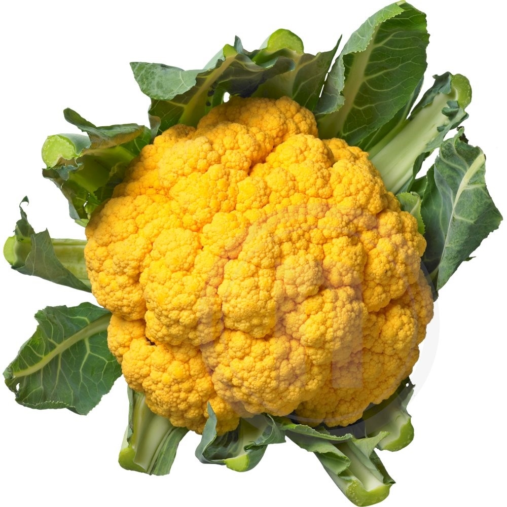 Blomkål orange/gul øko.