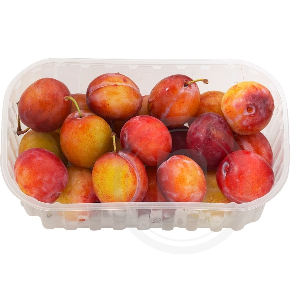 Blommer – produktbillede