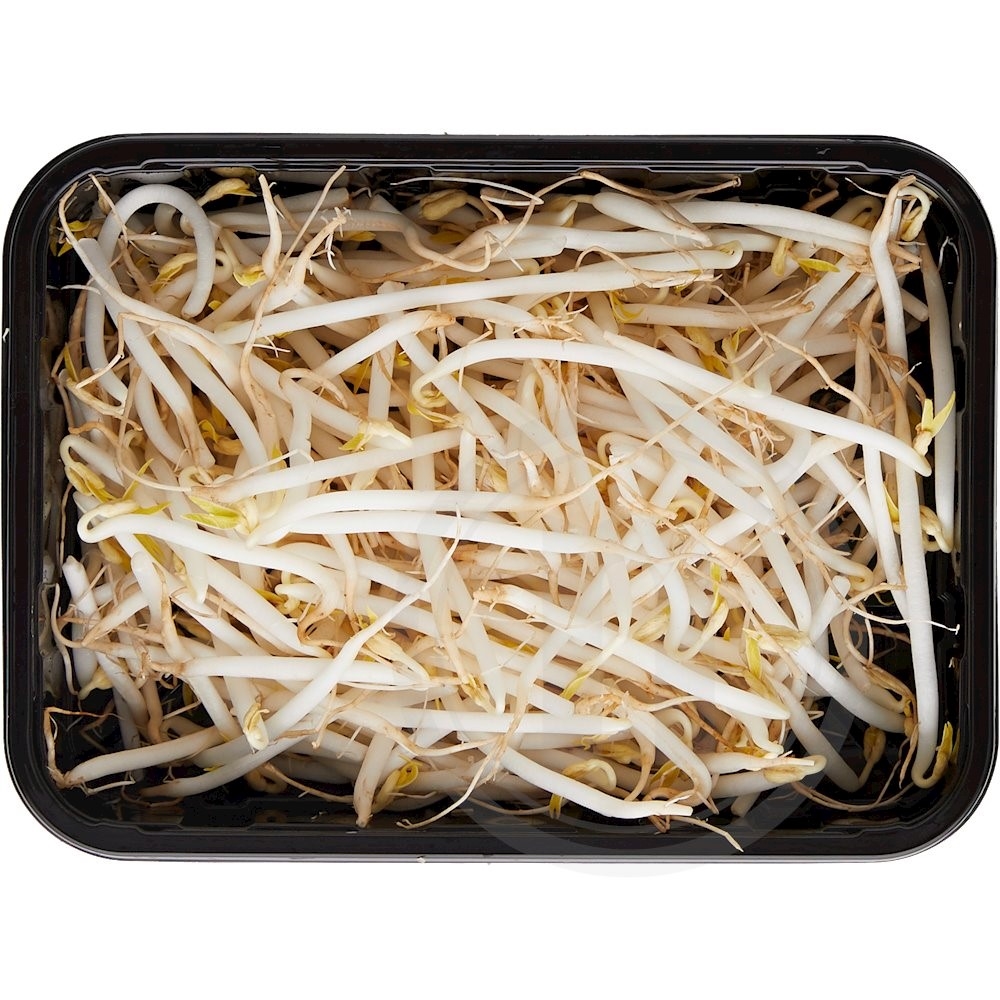 Bønnespirer økologiske