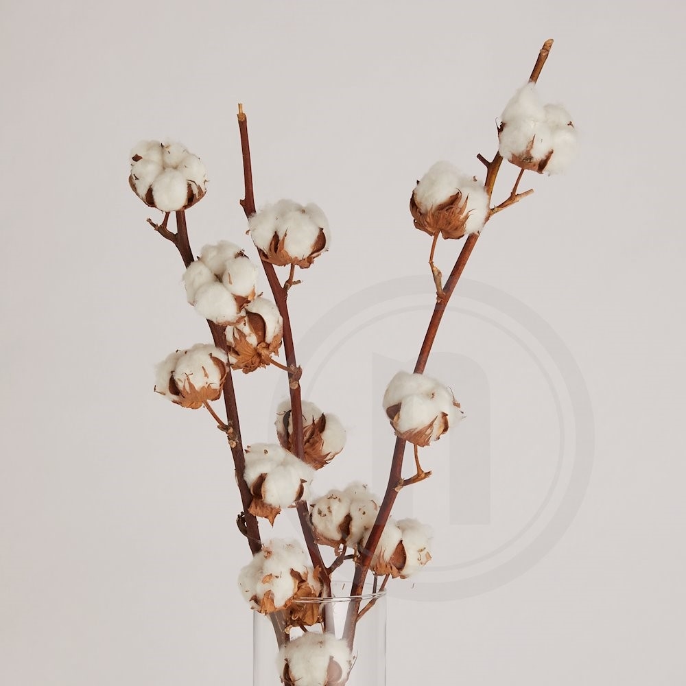 Bomuldsgrene Buket
