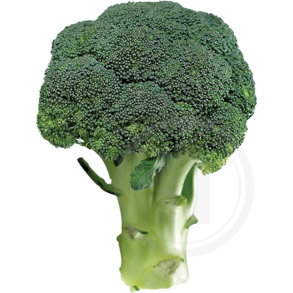 Ø-grønt Broccoli økologisk