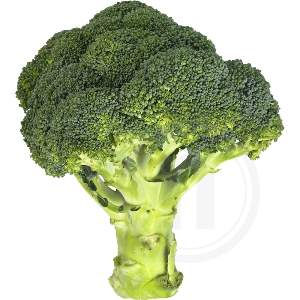 Broccoli
