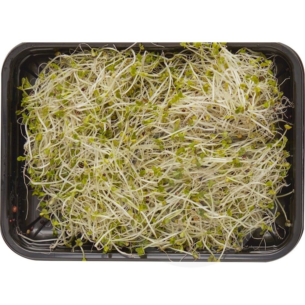 Broccolispirer Økologisk