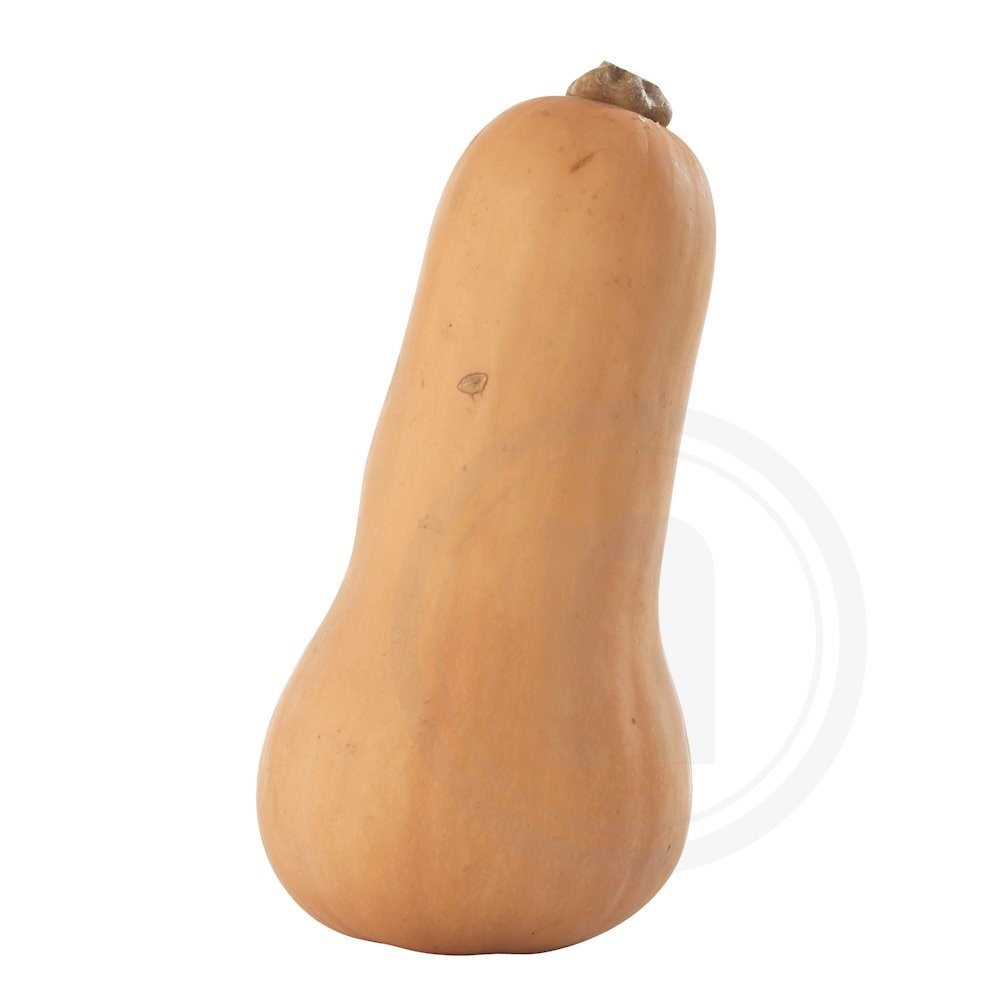 Butternut Økologisk