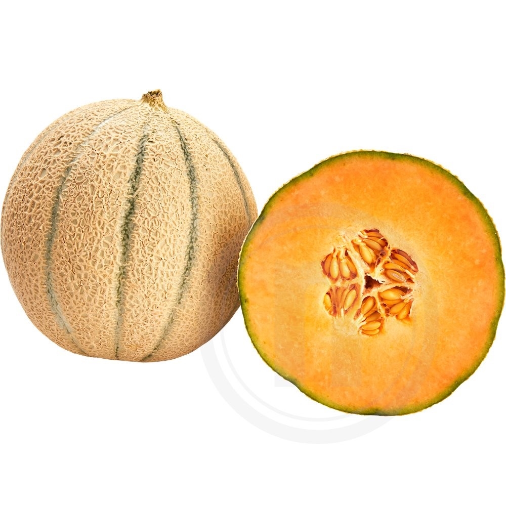 Cantaloupe melon øko.