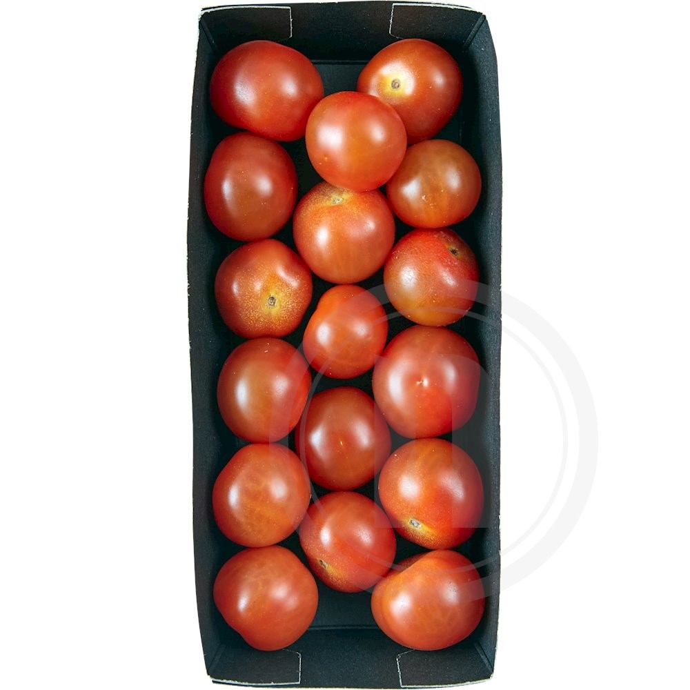 Cherryblomme tomater øko.