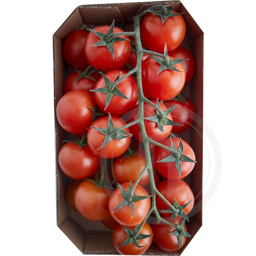 Cherrytomater m. stilk øko.