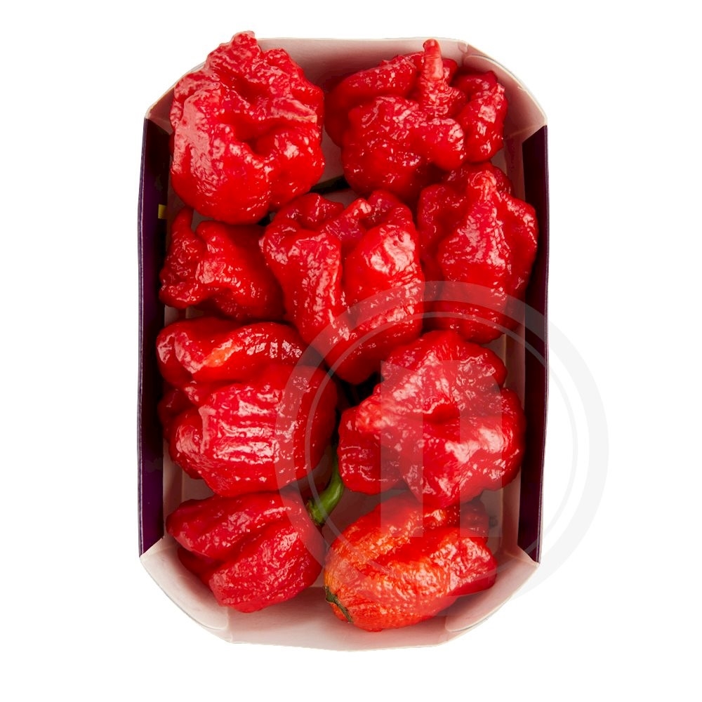 Chili Carolina Reaper