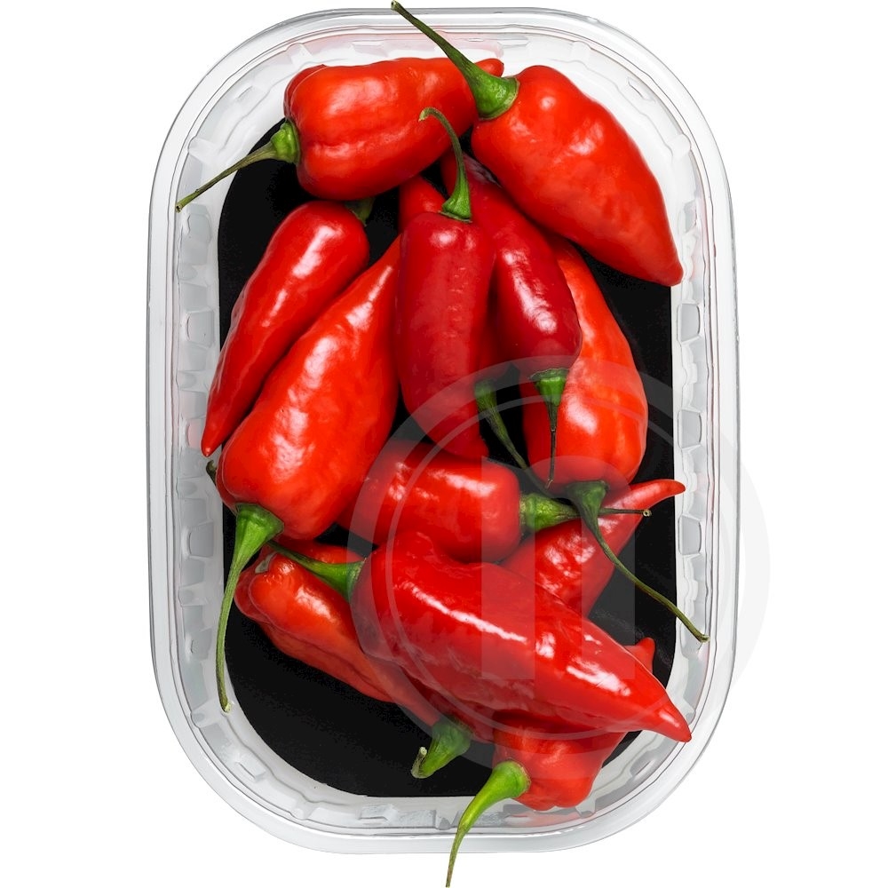 Chili Naga Jolokia