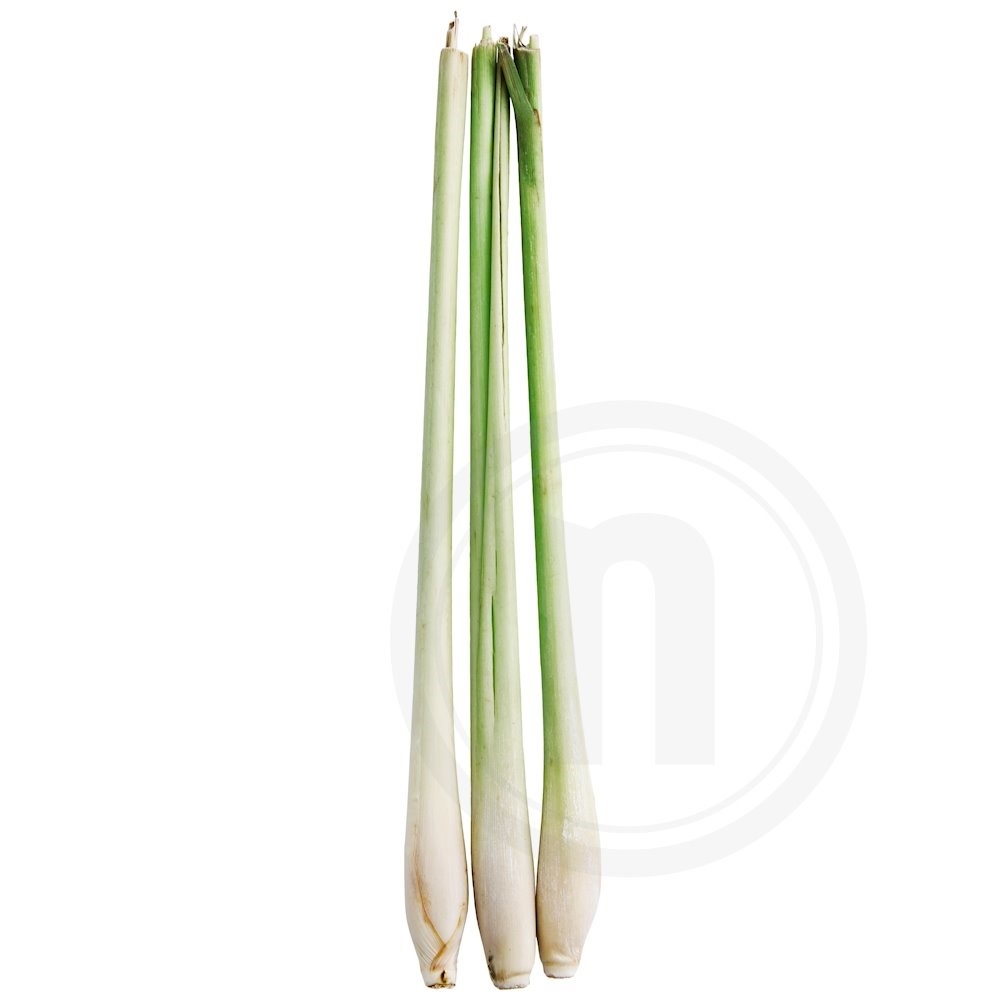 Citrongræs økologisk