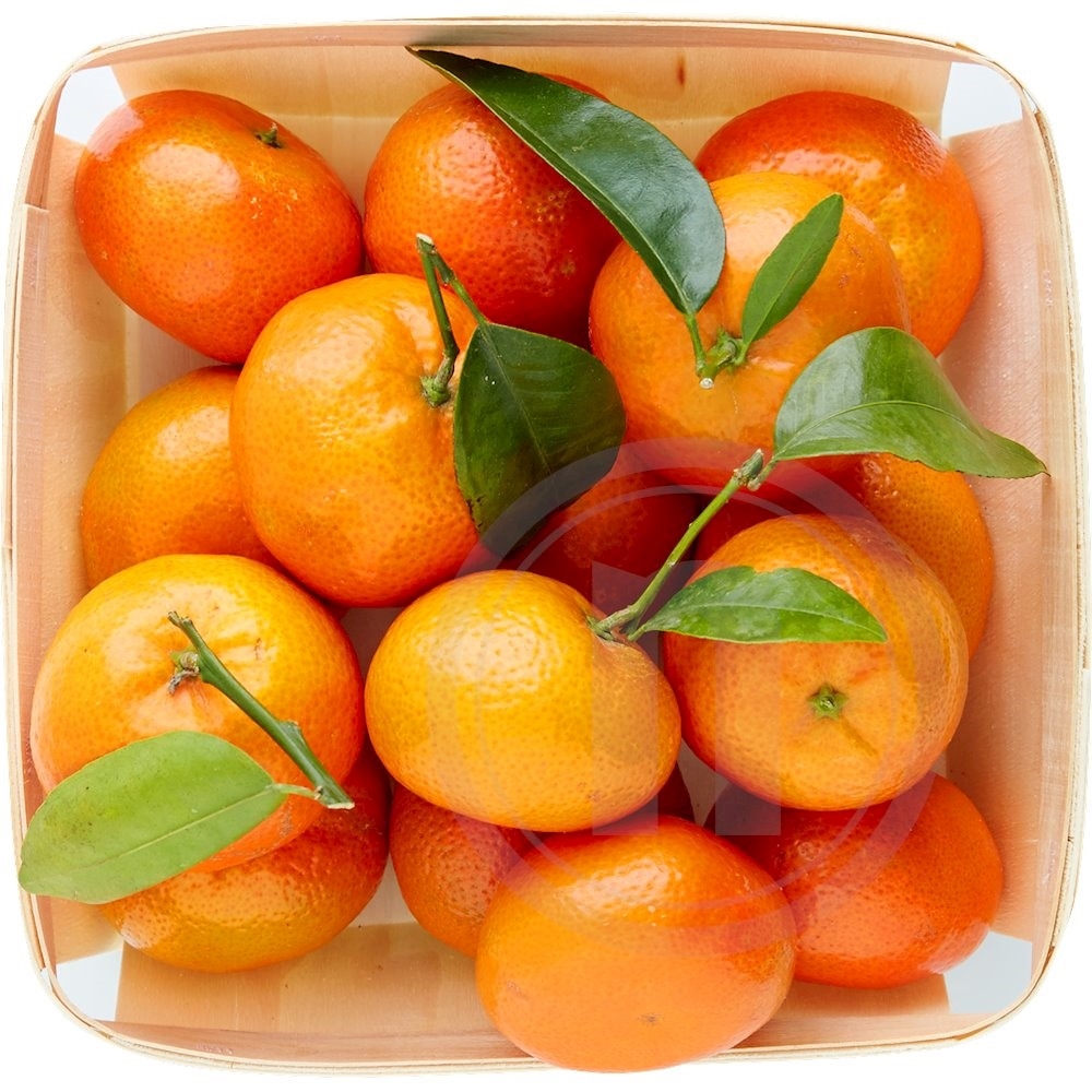 Clementiner m. Blade