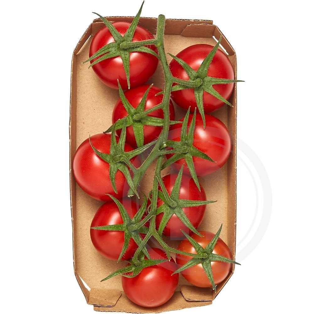 Cocktailtomater m. stilk øko.