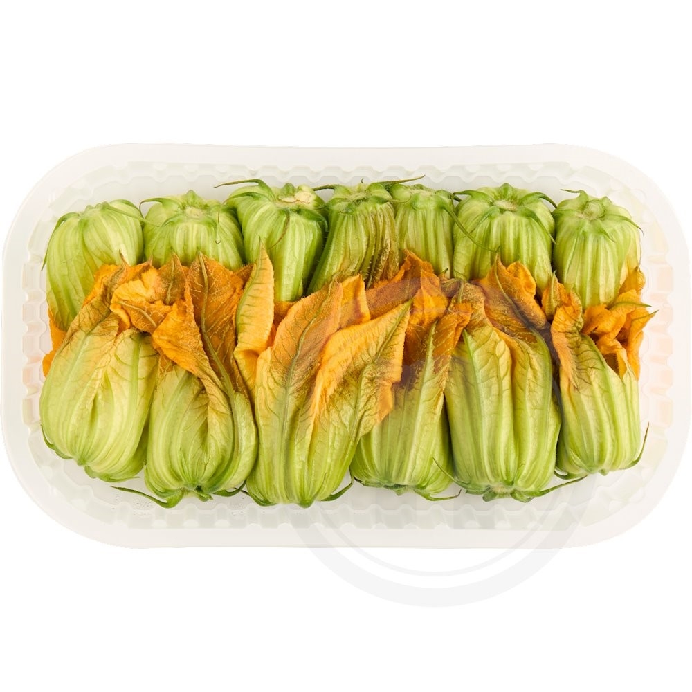 Courgette fleur