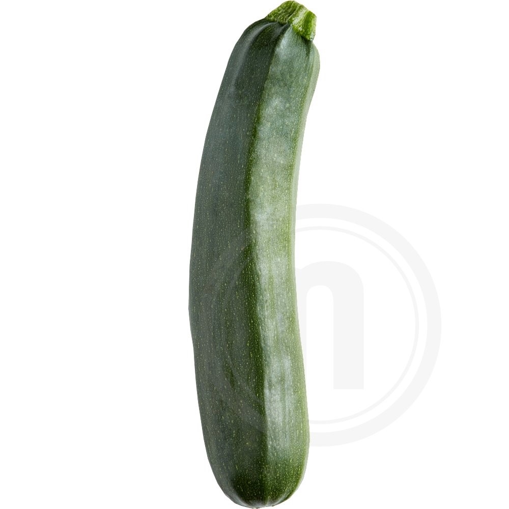 Courgette Økologisk