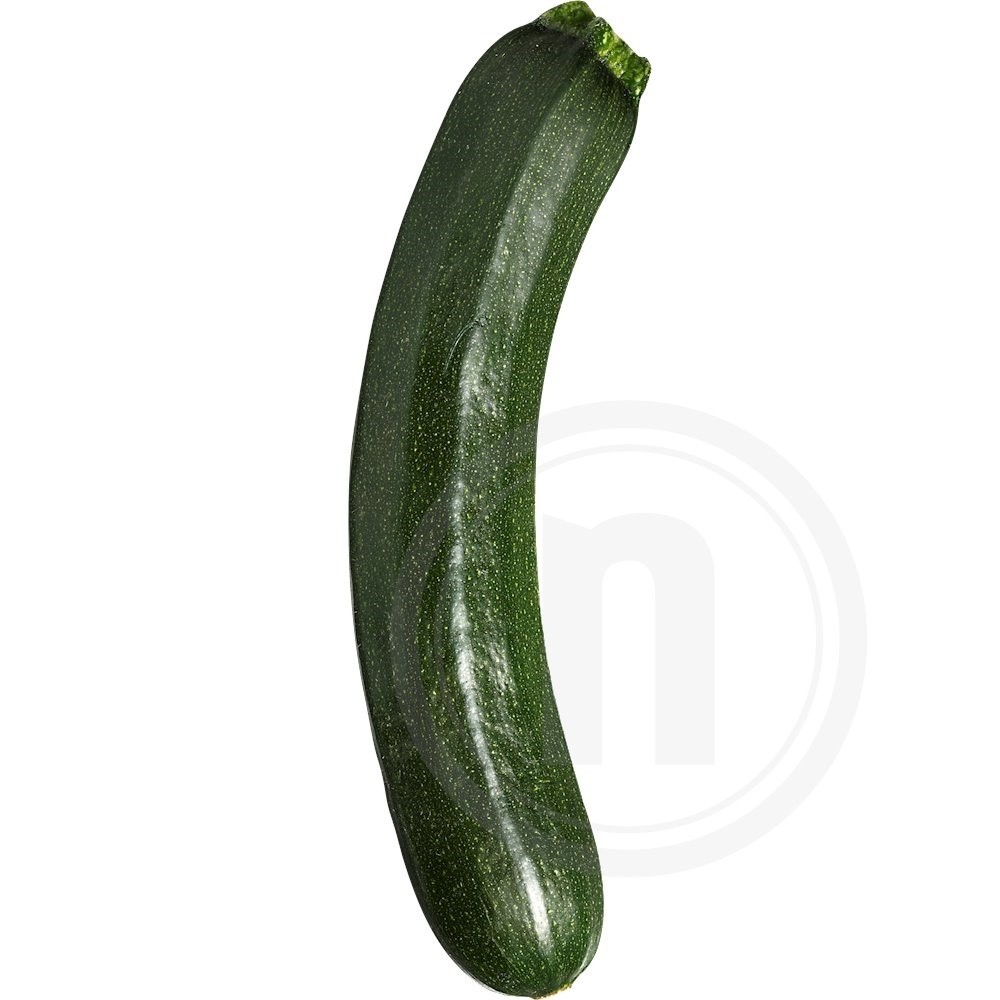 Courgette/Squash Øko. Danmark Klasse 1
