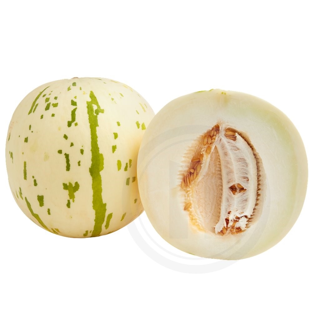 Crocky Melon