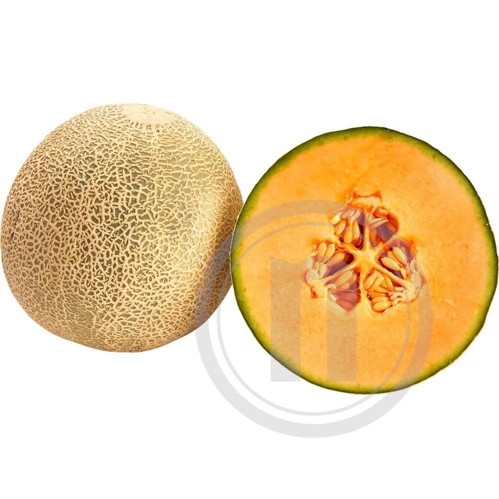 Dansk Cantaloupe melon stor