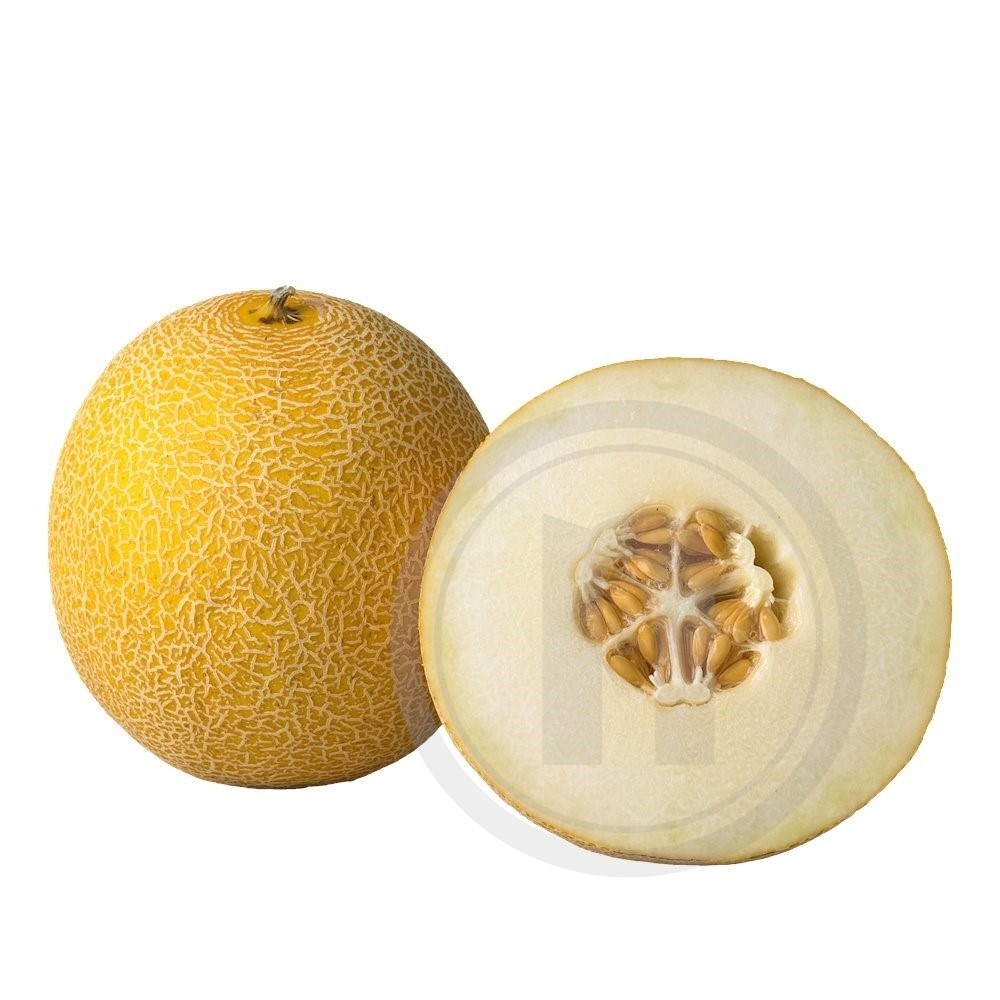 Dansk Galia melon stor