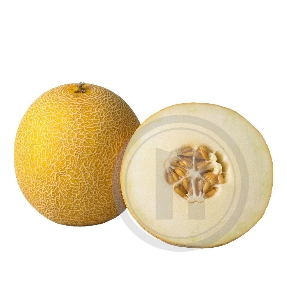 Dansk Galia melon