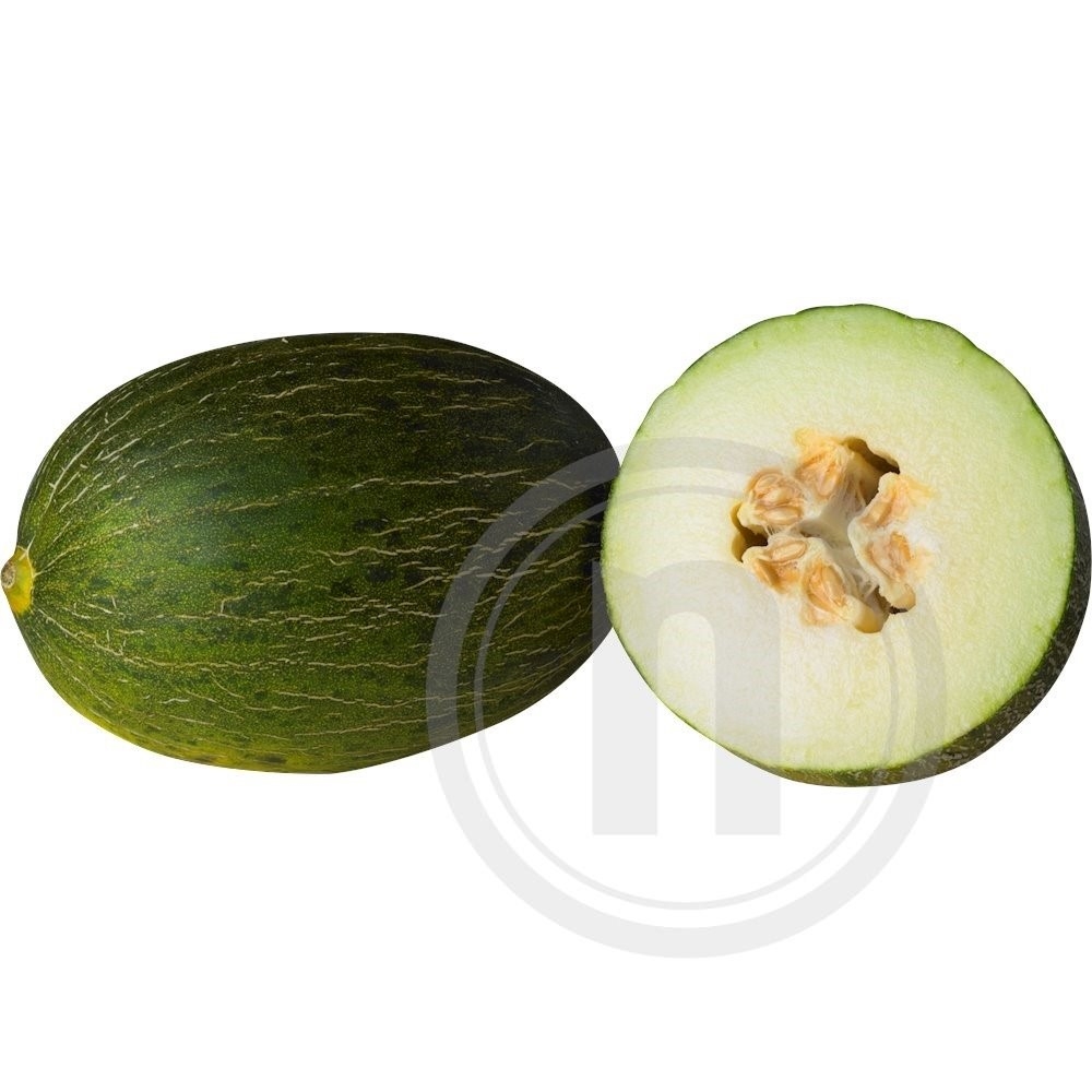 Dansk Piel de sapo Melon