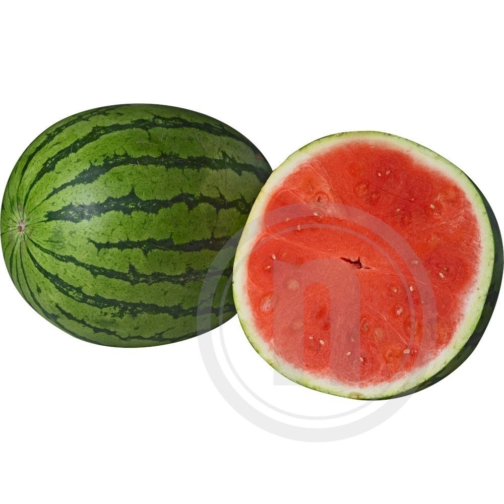 Dansk Vandmelon stor