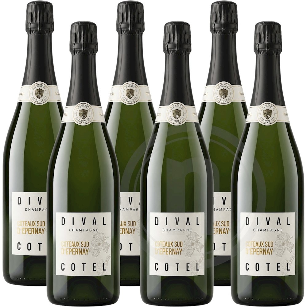 Dival Cotel Champagne