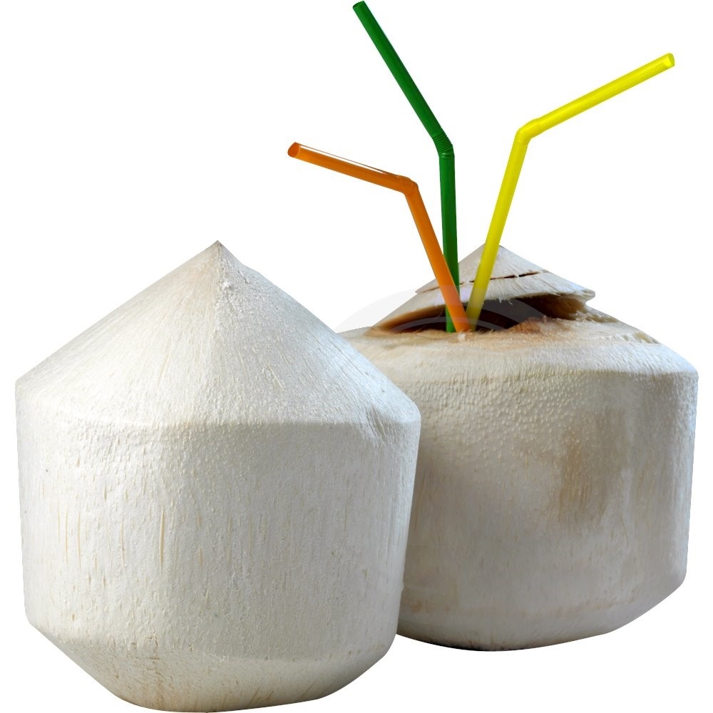 Drikke Kokosnød Thailand