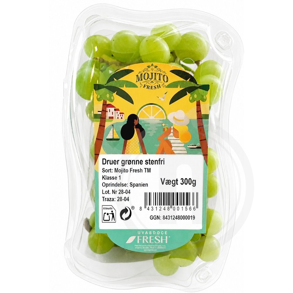 Druer Mojito Fresh Stenfri