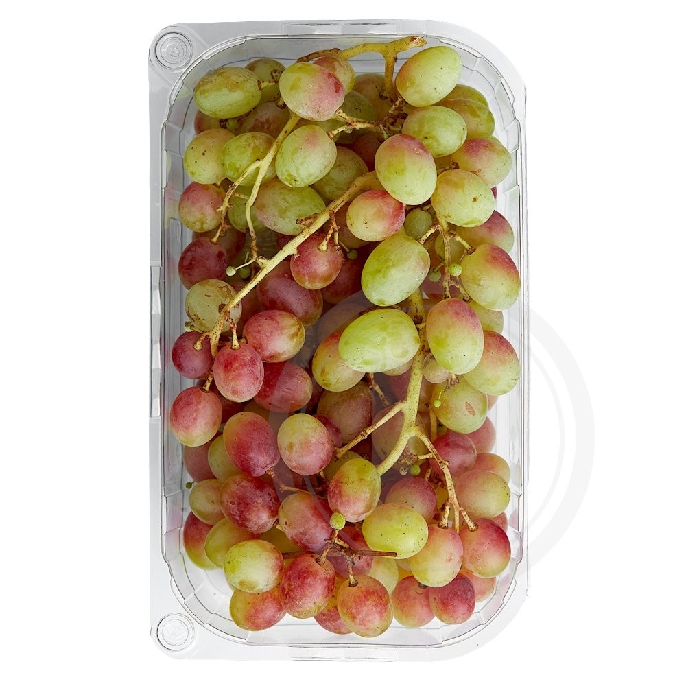 Druer Tropical stenfri