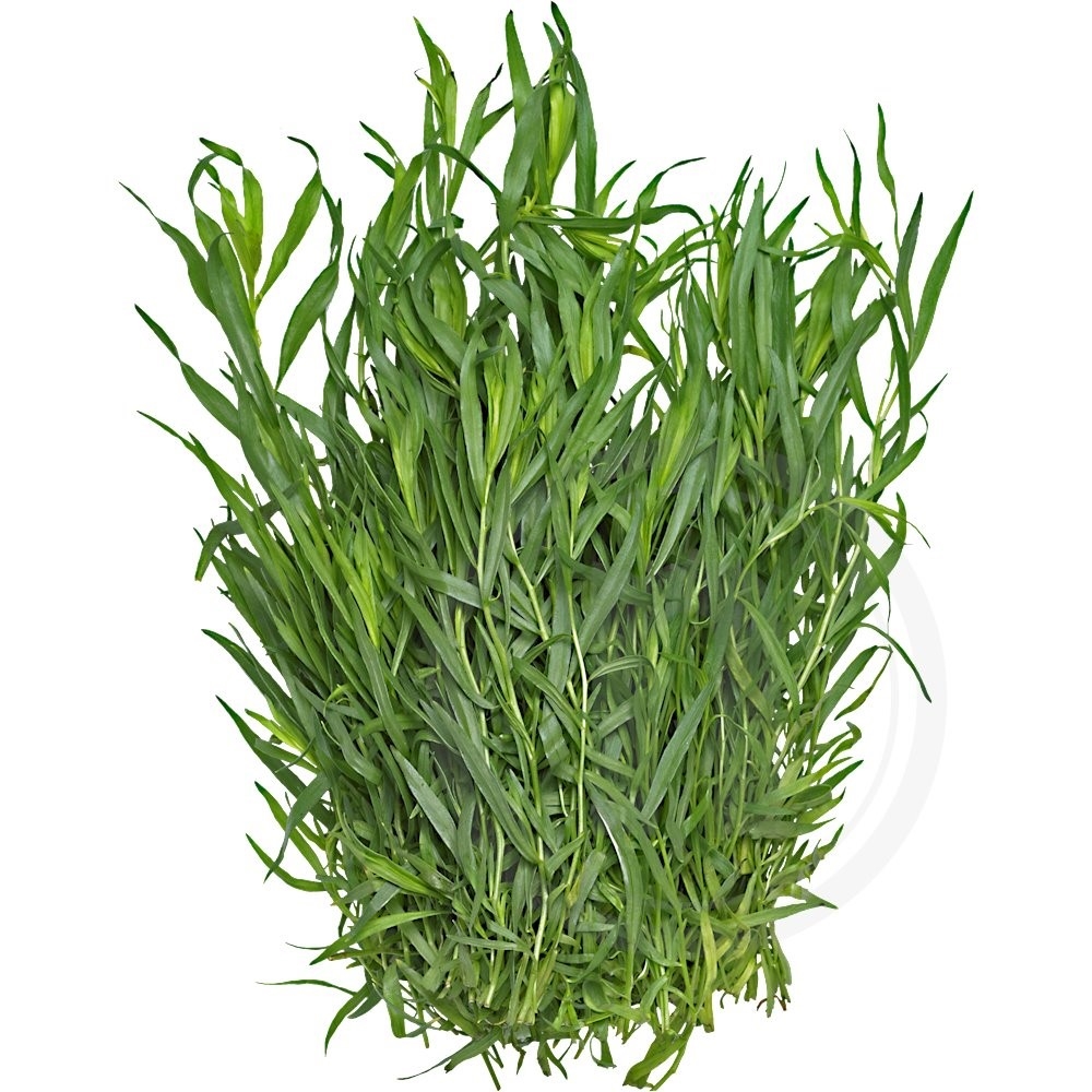 Estragon